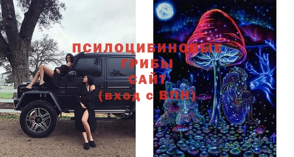 эйфоретик Беломорск