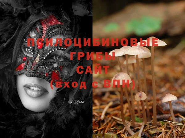 шишки Белоозёрский