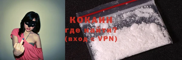 шишки Белоозёрский