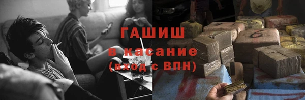 шишки Белоозёрский