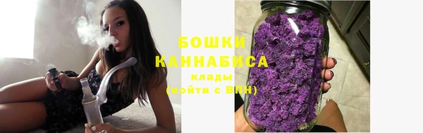 шишки Белоозёрский