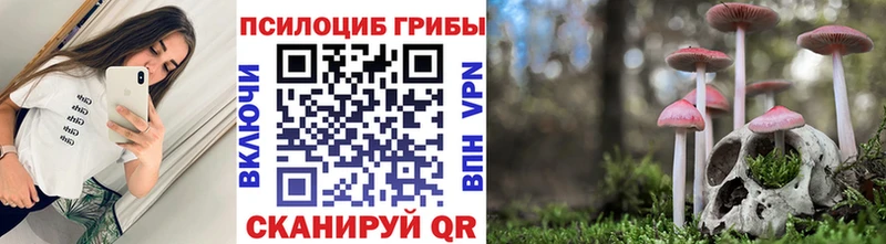 Псилоцибиновые грибы Psilocybe  Няндома 